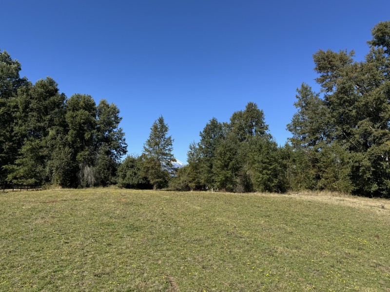 1Km. de Villarrica Por Ruta Segunda Faja Camino A Pucón