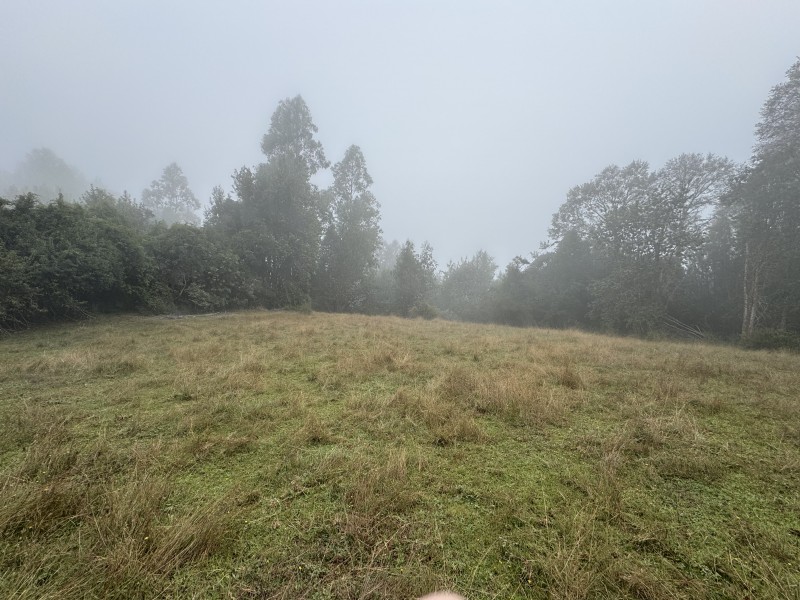 Campo de 23,7 Hectáreas Loncoche, Sector la Paz