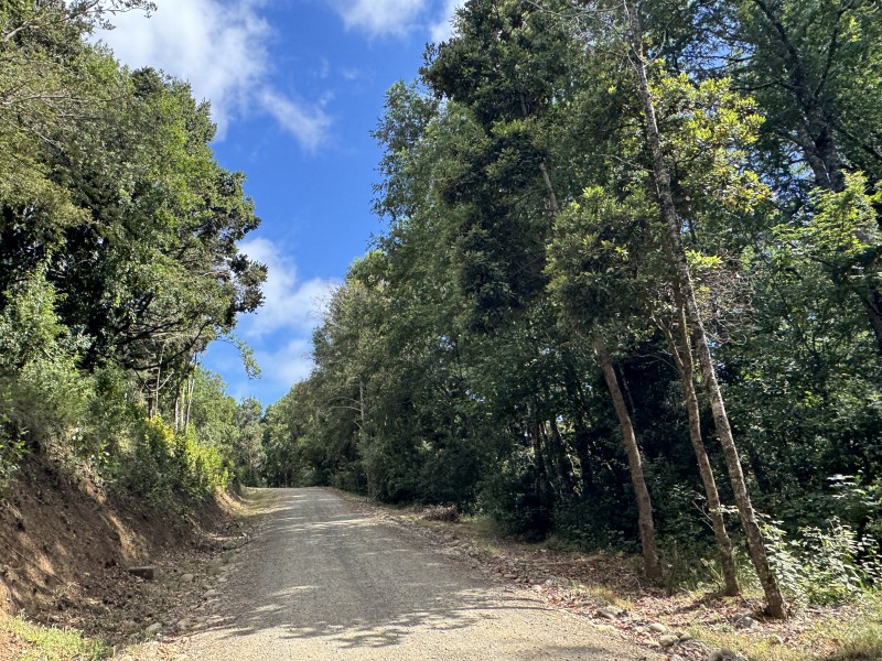 14 Km de Villarrica Vista Lago y Volcán Condominio Pedregoso
