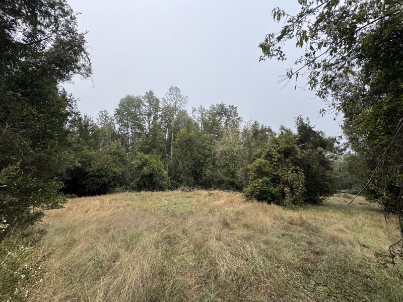 Campo de 23,7 Hectáreas Loncoche, Sector la Paz