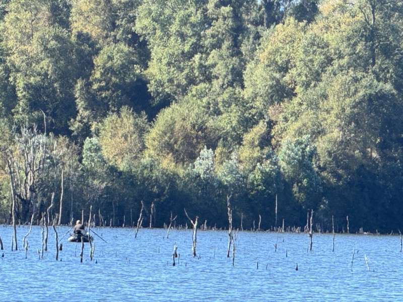 1Km. de Villarrica Por Ruta Segunda Faja Camino A Pucón