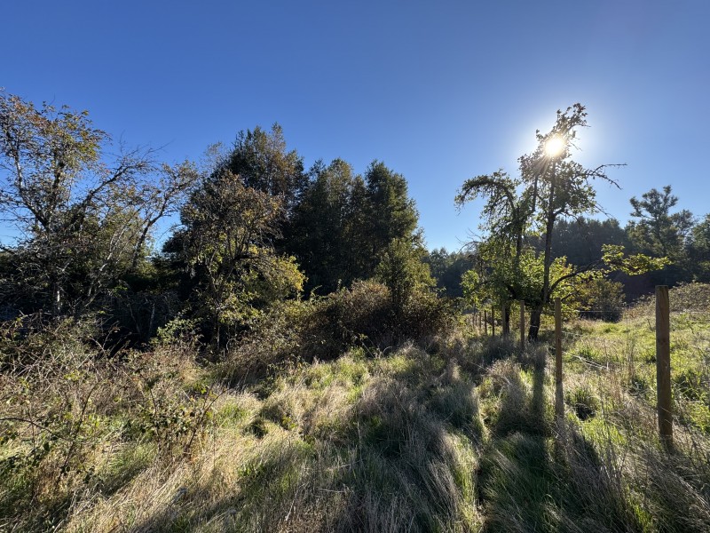4 Hectáreas 5,5 Km Villarrica Camino Licán 1Km de Ripio