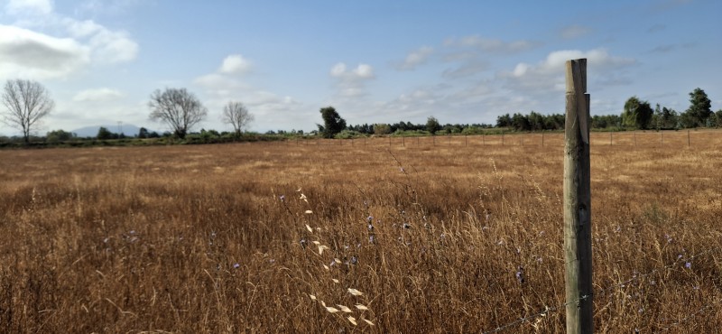 Terreno Agrícola en San Rafael ,provincia de Talca.