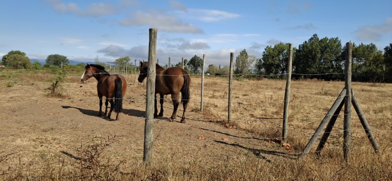 Terreno Agrícola en San Rafael ,provincia de Talca.