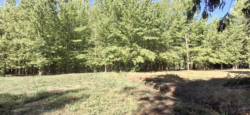 Campo de 4,47 Ha en Bajos de Lircay San Clemente