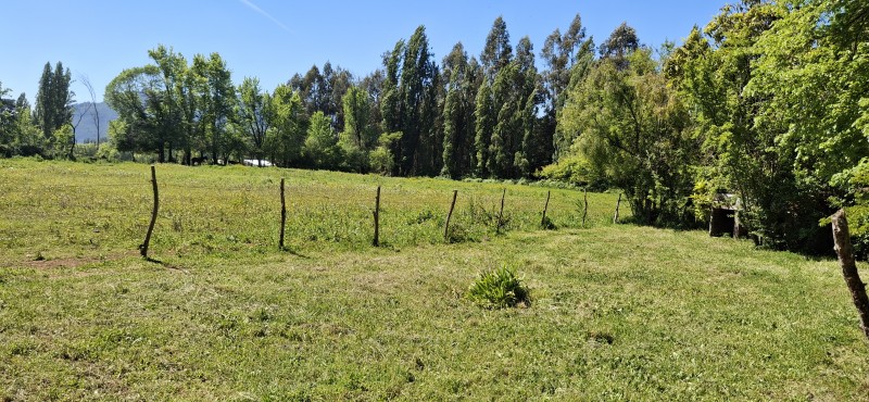 Campo de 4,47 Ha en Bajos de Lircay San Clemente