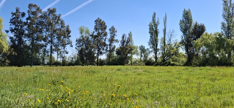 Campo de 4,47 Ha en Bajos de Lircay San Clemente