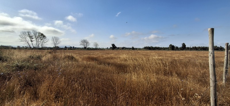 Terreno Agrícola en San Rafael ,provincia de Talca.