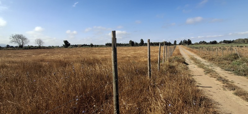 Terreno Agrícola en San Rafael ,provincia de Talca.