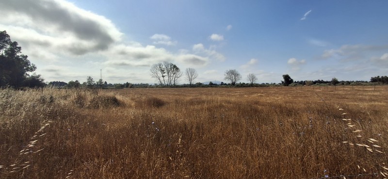 Terreno Agrícola en San Rafael ,provincia de Talca.