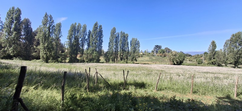 Campo de 4,47 Ha en Bajos de Lircay San Clemente