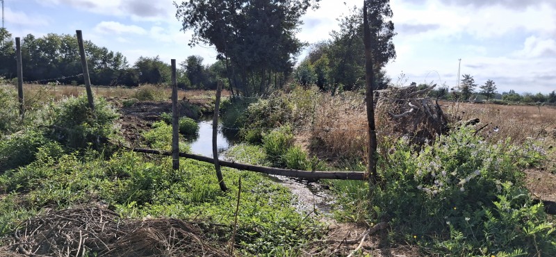 Terreno Agrícola en San Rafael ,provincia de Talca.