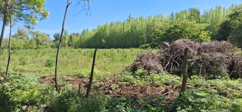 Campo de 4,47 Ha en Bajos de Lircay San Clemente