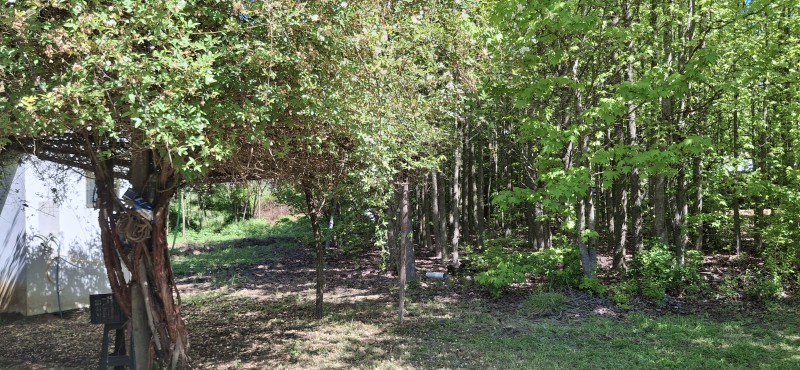 Campo de 4,47 Ha en Bajos de Lircay San Clemente