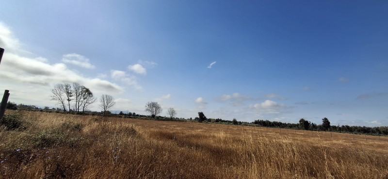 Terreno Agrícola en San Rafael ,provincia de Talca.
