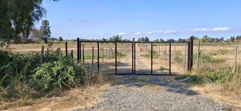 Terreno Agrícola en San Rafael ,provincia de Talca.