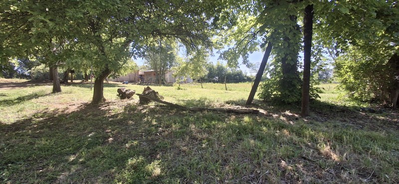 Campo de 4,47 Ha en Bajos de Lircay San Clemente