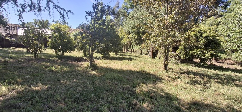 Campo de 4,47 Ha en Bajos de Lircay San Clemente