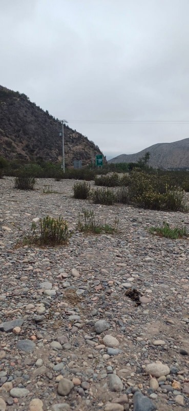 el Molle la Serena Parcela Plana, A Orilla de Río Carretera