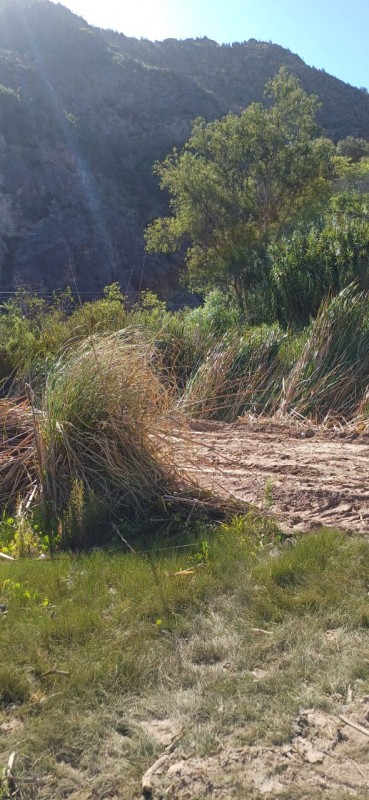 Fotografía de el Molle la Serena Parcela Plana, A Orilla de Río Carretera