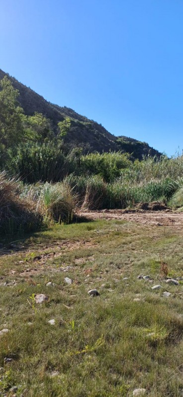 el Molle la Serena Parcela Plana, A Orilla de Río Carretera