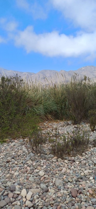 el Molle la Serena Parcela Plana, A Orilla de Río Carretera