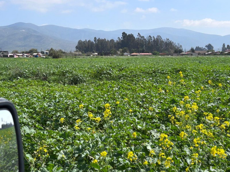 Parcelas en Venta Condominio Hacienda Santa Filomena
