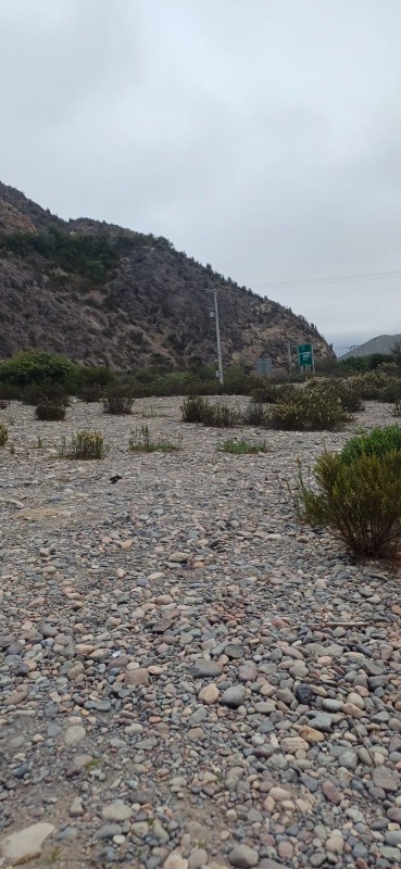 el Molle la Serena Parcela Plana, A Orilla de Río Carretera