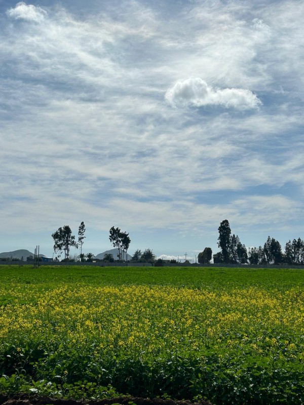 Parcelas en Venta Condominio Hacienda Santa Filomena