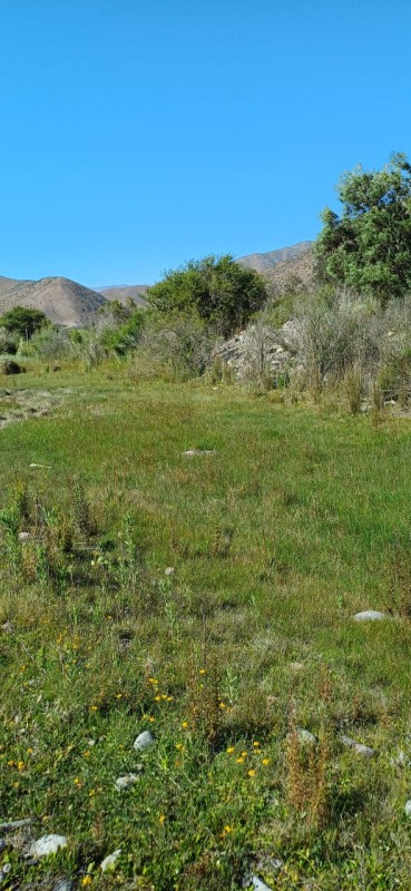 el Molle la Serena Parcela Plana, A Orilla de Río Carretera