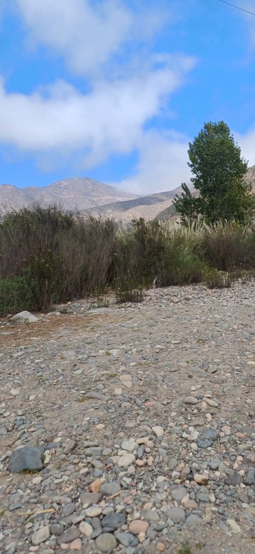 el Molle la Serena Parcela Plana, A Orilla de Río Carretera