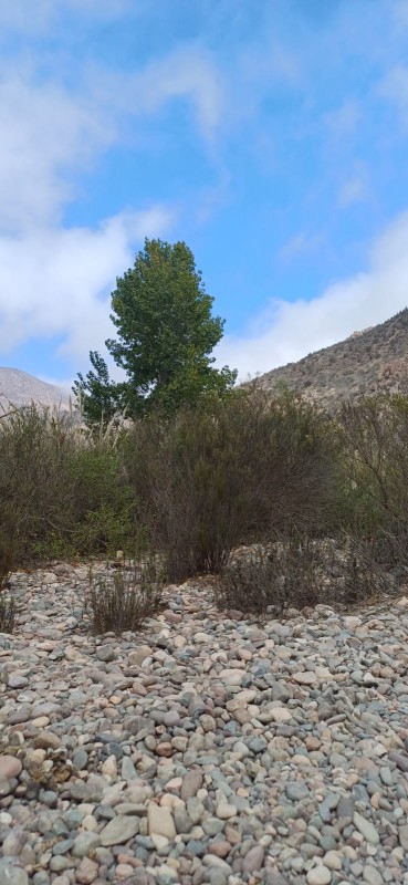 el Molle la Serena Parcela Plana, A Orilla de Río Carretera