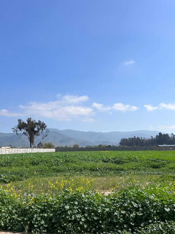 Parcelas en Venta Condominio Hacienda Santa Filomena