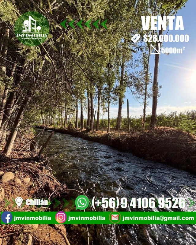 Vendo Parcela 5000M2 en Tres Esquina de Cato.
