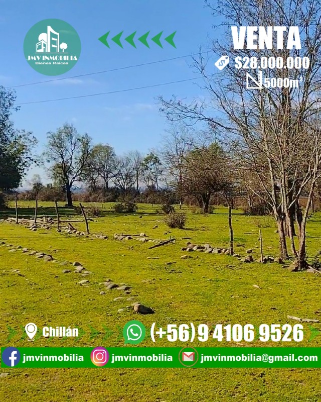 Vendo Parcela 5000M2 en Tres Esquina de Cato.