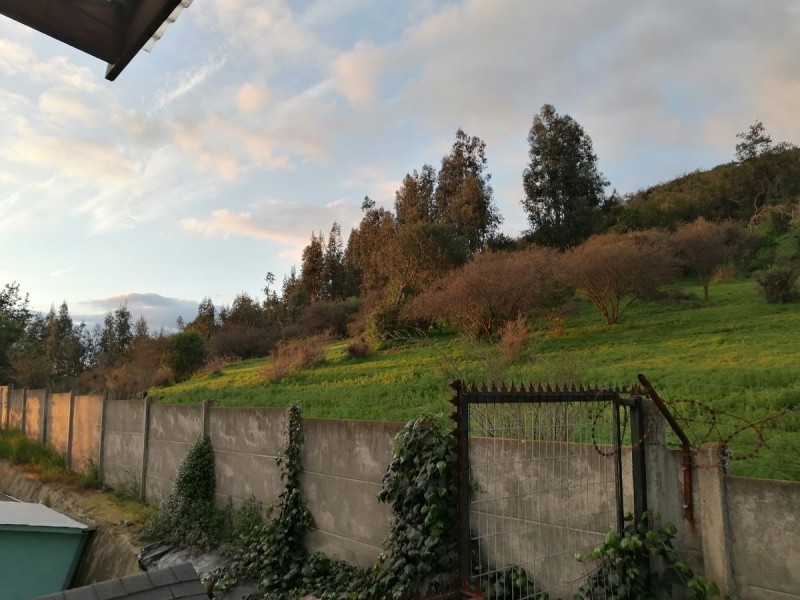 Acogedora Casa en Zona Residencial Av Palmira Romano Norte