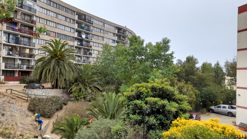 Vista Al Mar en Edificio Sector Lord Cochrane Recreo Alto