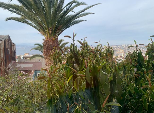 Se Vende Encantadora Casona Cerro Alegre Sector Patrimonial