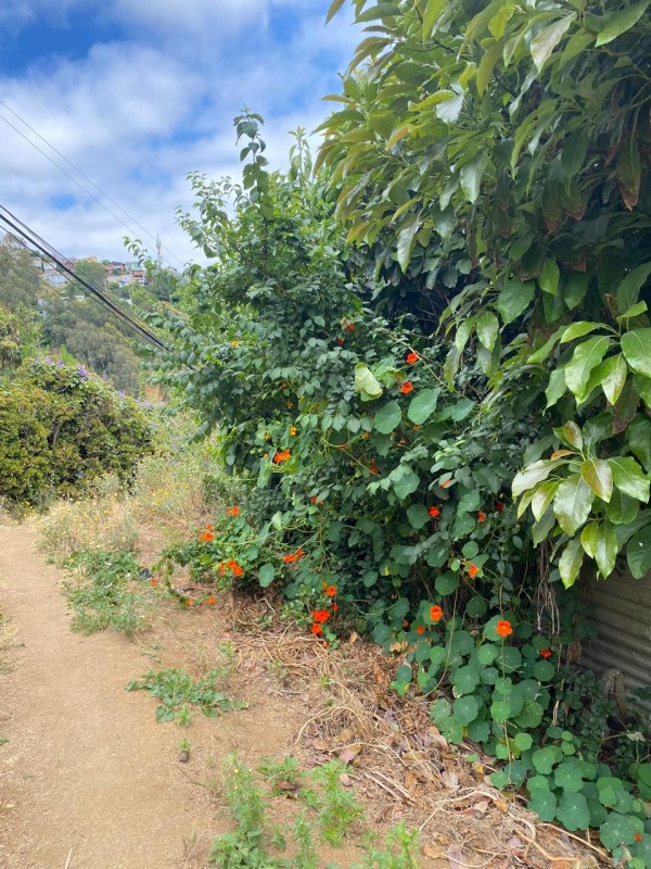 Se Vende Casa Antigua Con Amplio Patio y Áreas Verdes.
