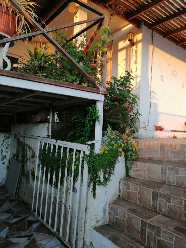 Acogedora Casa en Zona Residencial Av Palmira Romano Norte