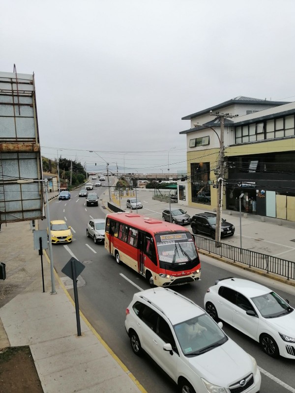 Gran Local Comercial Ubicación Estrategica