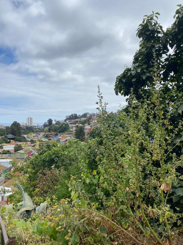 Se Vende Casa Antigua Con Amplio Patio y Áreas Verdes.