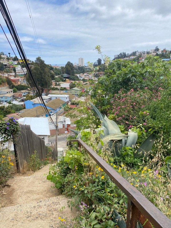 Se Vende Casa Antigua Con Amplio Patio y Áreas Verdes.