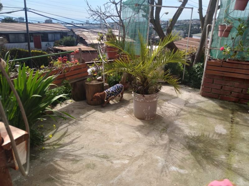 Casa Amplia Con Local Comercial San Roque.