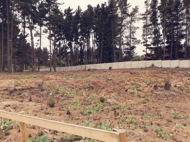 Terreno de 1500 Metros Calle Calafquen, los Pinos Reñaca