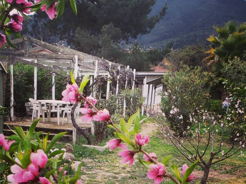 Hermosa Casa en Olmue 1.400 M2 de Terreno