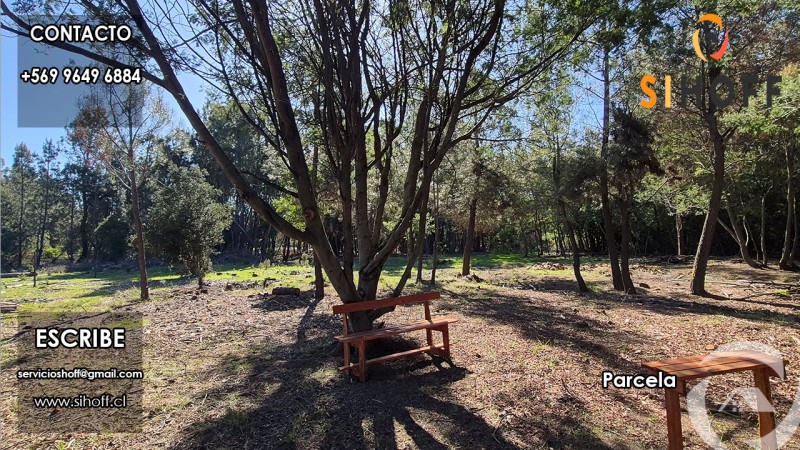 Se Vende Parcela Camino San Ignacio, Chillán