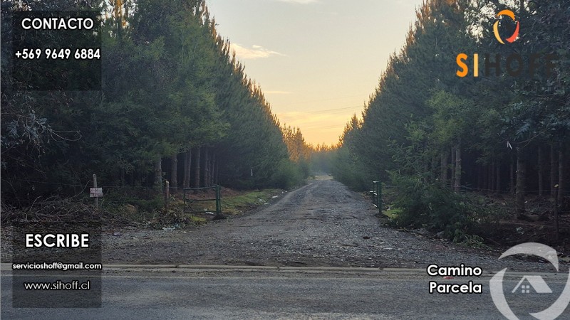 Se Vende Parcela Camino San Ignacio, Chillán