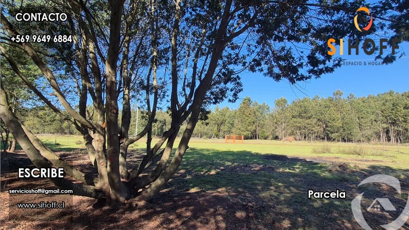 Se Vende Parcela Camino San Ignacio, Chillán