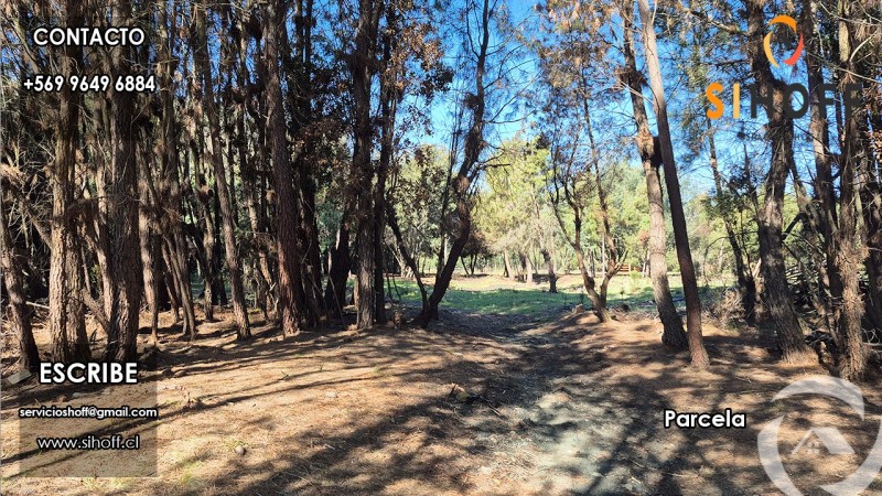 Se Vende Parcela Camino San Ignacio, Chillán